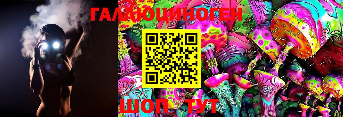 Электросталь  Псилоцибиновые грибы GOLDEN TEACHER  Вход с VPN  Галлюциногенные грибы GOLDEN TEACHER 